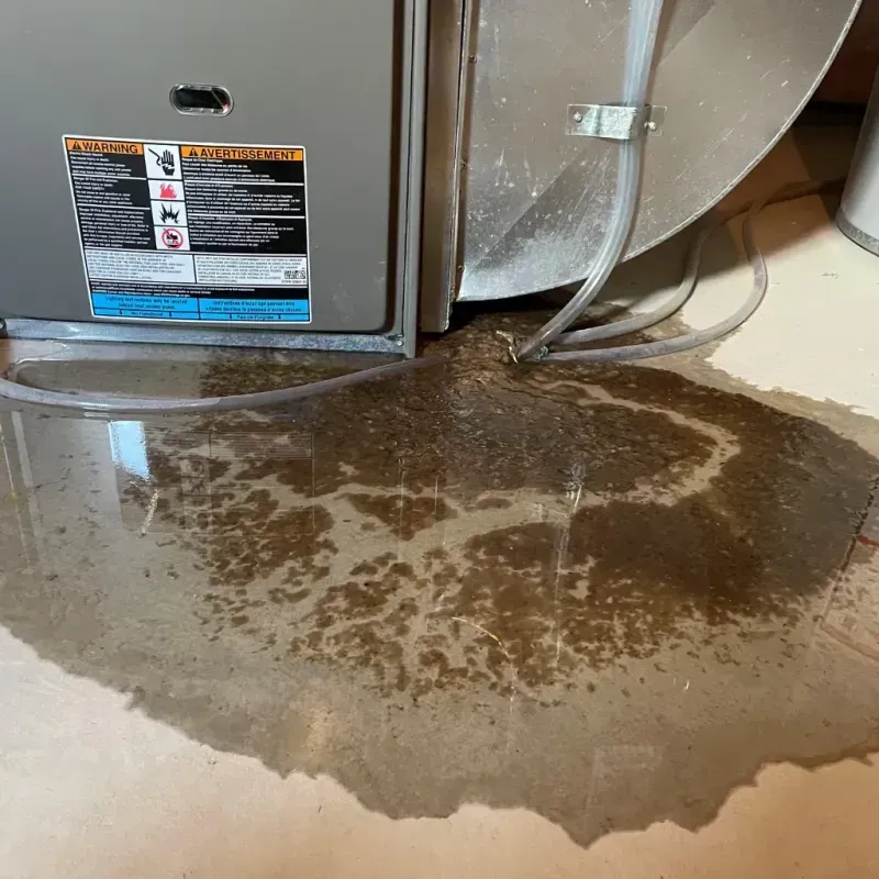 Appliance Leak Cleanup in Peculiar, MO